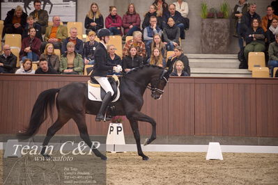 Blue Hors
4års dresssur finale
Nøgleord: anders uve sjøbeck hoeck;hesselhoej double up