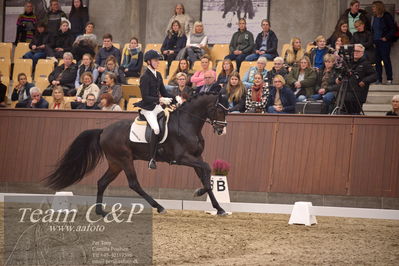 Blue Hors
4års dresssur finale
Nøgleord: anders uve sjøbeck hoeck;hesselhoej double up