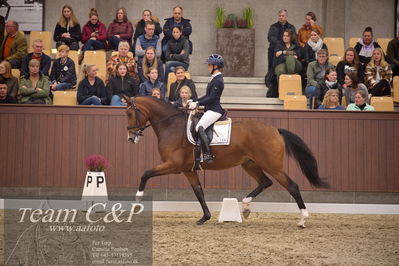 Blue Hors
4års dresssur finale
Nøgleord: francisca-d;lovisa wessblad