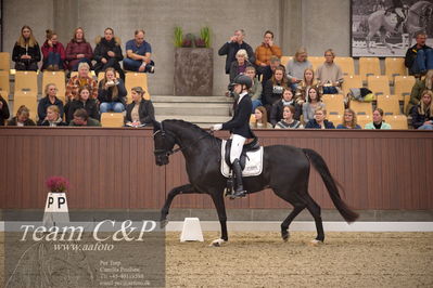 Blue Hors
4års dresssur finale
Nøgleord: skovmosegårds amarone;camilla ahlers pedersen