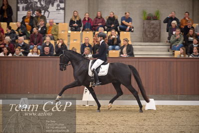 Blue Hors
4års dresssur finale
Nøgleord: camilla ahlers pedersen;skovmosegårds amarone