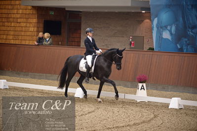 Blue Hors
4års dresssur finale
Nøgleord: camilla ahlers pedersen;skovmosegårds amarone