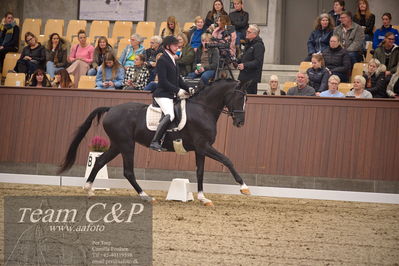 Blue Hors
4års dresssur finale
Nøgleord: michael søgaard;søbakkehus duffy