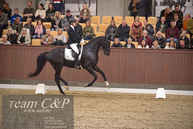 Blue Hors
4års dresssur finale
Nøgleord: camilla ahlers pedersen;skovmosegårds amarone