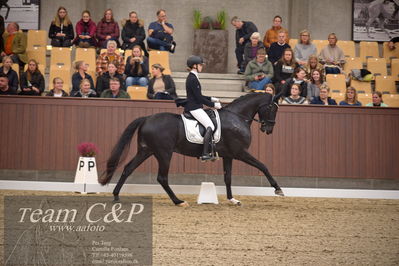 Blue Hors
4års dresssur finale
Nøgleord: camilla ahlers pedersen;skovmosegårds amarone