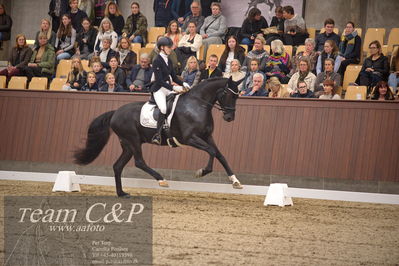 Blue Hors
4års dresssur finale
Nøgleord: camilla ahlers pedersen;skovmosegårds amarone