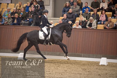 Blue Hors
4års dresssur finale
Nøgleord: camilla ahlers pedersen;skovmosegårds amarone