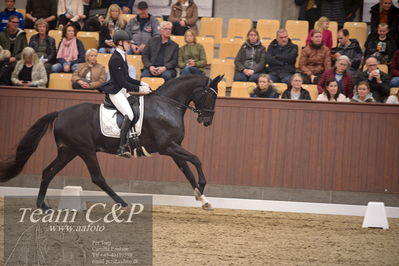 Blue Hors
4års dresssur finale
Nøgleord: camilla ahlers pedersen;skovmosegårds amarone