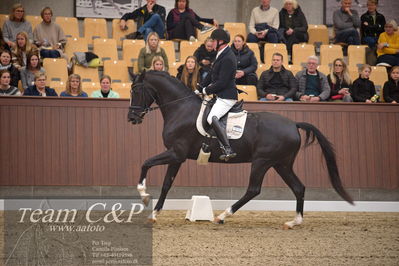 Blue Hors
4års dresssur finale
Nøgleord: michael søgaard;søbakkehus duffy
