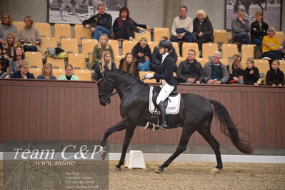 Blue Hors
4års dresssur finale
Nøgleord: camilla ahlers pedersen;skovmosegårds amarone
