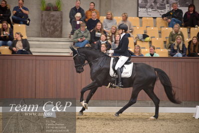 Blue Hors
4års dresssur finale
Nøgleord: camilla ahlers pedersen;skovmosegårds amarone