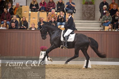 Blue Hors
4års dresssur finale
Nøgleord: camilla ahlers pedersen;skovmosegårds amarone