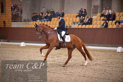 Blue Hors
4års dresssur finale
Nøgleord: blue hors valenzo;christian tudda ruiz