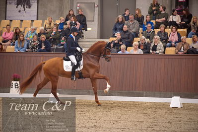 Blue Hors
4års dresssur finale
Nøgleord: blue hors valenzo;christian tudda ruiz