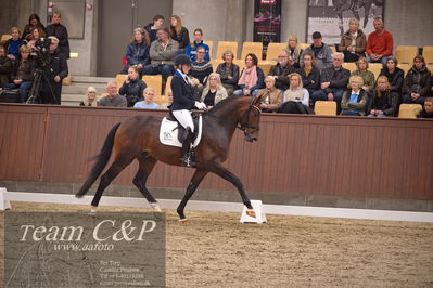 Blue Hors
4års dresssur finale
Nøgleord: blue hors monte carlo tc;nanna skjold merrald