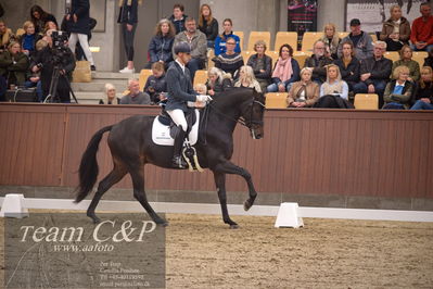 Blue Hors
4års dresssur finale
