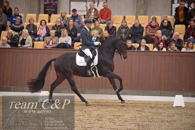 Blue Hors
4års dresssur finale
