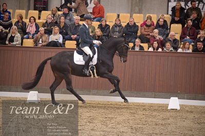 Blue Hors
4års dresssur finale

