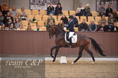 Blue Hors
4års dresssur finale
Nøgleord: blue hors monte carlo tc;nanna skjold merrald