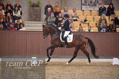 Blue Hors
4års dresssur finale
Nøgleord: blue hors monte carlo tc;nanna skjold merrald