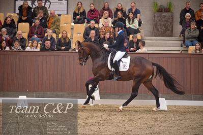 Blue Hors
4års dresssur finale
Nøgleord: blue hors monte carlo tc;nanna skjold merrald