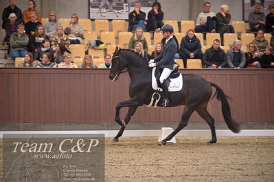Blue Hors
4års dresssur finale

