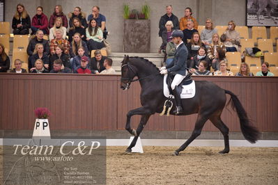 Blue Hors
4års dresssur finale

