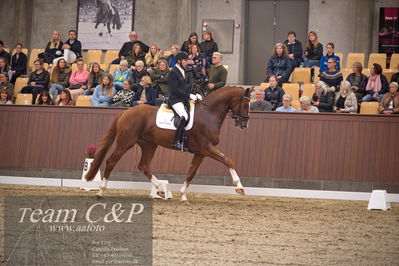 Blue Hors
4års dresssur finale
Nøgleord: triumph villa;michael grønne christensen