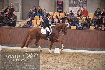 Blue Hors
4års dresssur finale
Nøgleord: triumph villa;michael grønne christensen