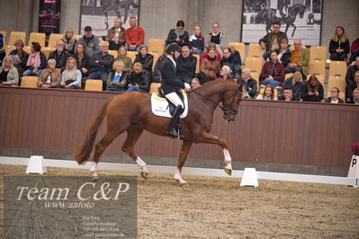 Blue Hors
4års dresssur finale
Nøgleord: triumph villa;michael grønne christensen