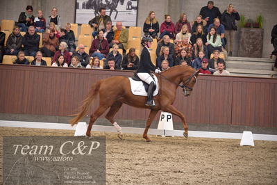 Blue Hors
4års dresssur finale

