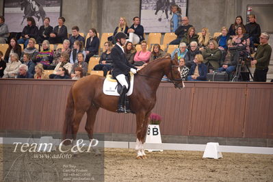 Blue Hors
4års dresssur finale
Nøgleord: triumph villa;michael grønne christensen