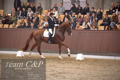 Blue Hors
4års dresssur finale
Nøgleord: triumph villa;michael grønne christensen