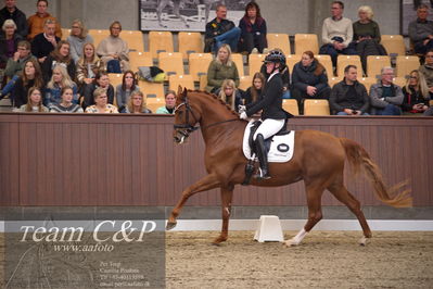 Blue Hors
4års dresssur finale
Nøgleord: unna;josefine hoffmann