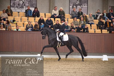 Blue Hors
4års dresssur finale
Nøgleord: iron;mette sejbjerg jensen