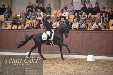 Blue Hors
4års dresssur finale
Nøgleord: iron;mette sejbjerg jensen