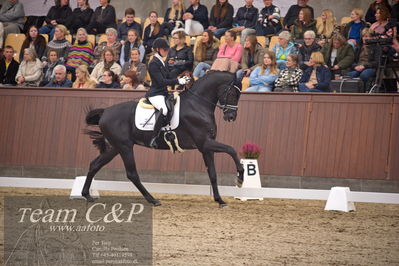 Blue Hors
4års dresssur finale
Nøgleord: iron;mette sejbjerg jensen