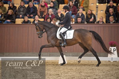 Blue Hors
4års dresssur finale
Nøgleord: søbakkehus maude;allan grøn