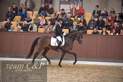 Blue Hors
4års dresssur finale
Nøgleord: søbakkehus maude;allan grøn