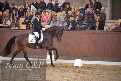 Blue Hors
4års dresssur finale
Nøgleord: søbakkehus maude;allan grøn