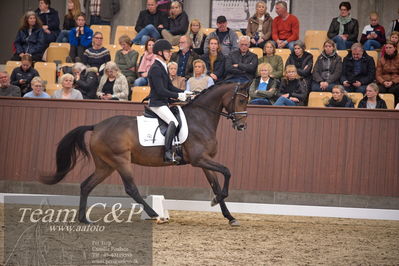 Blue Hors
4års dresssur finale
Nøgleord: søbakkehus maude;allan grøn