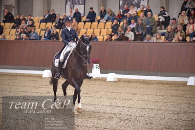 Blue Hors
7 års finale dressur
Nøgleord: sheik eg;nadja therkelsen