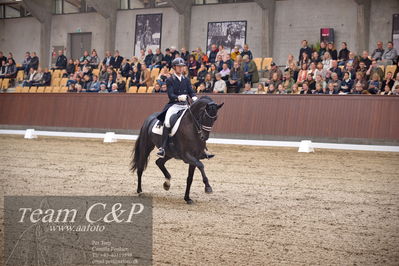 Blue Hors
7 års finale dressur
Nøgleord: uno sunshine reggae;kenneth  damgaard