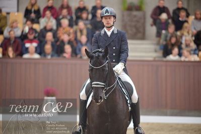 Blue Hors
7 års finale dressur
Nøgleord: uno sunshine reggae;kenneth  damgaard