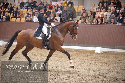 Blue Hors
7 års finale dressur
Nøgleord: miss holsteins marikka;nadja aaboe sloth