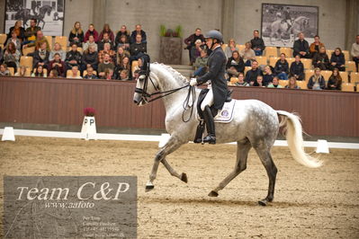 Blue Hors
7 års finale dressur
