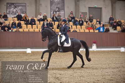 Blue Hors
7 års finale dressur
Nøgleord: elverhøjs raccolto;marianne helgstrand