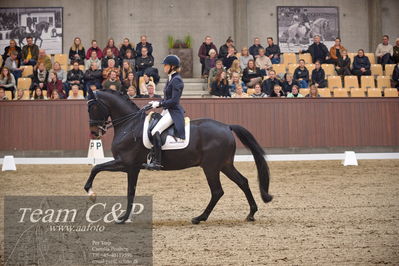 Blue Hors
7 års finale dressur
Nøgleord: elverhøjs raccolto;marianne helgstrand