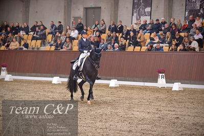 Blue Hors
7 års finale dressur
Nøgleord: elverhøjs raccolto;marianne helgstrand