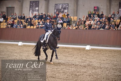 Blue Hors
7 års finale dressur
Nøgleord: elverhøjs raccolto;marianne helgstrand